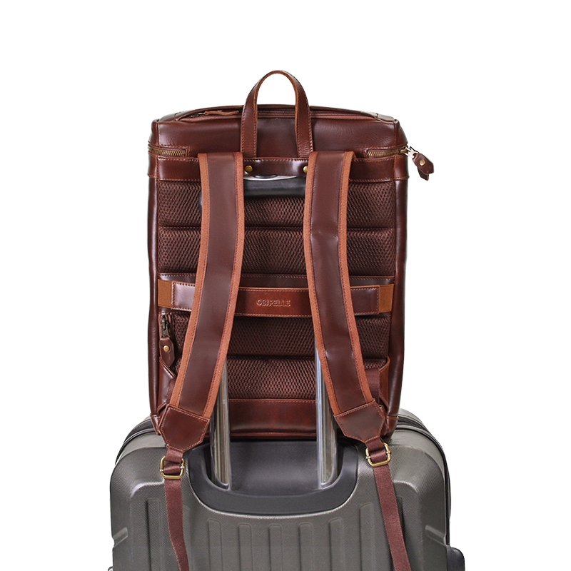 #color_Crazy Brown